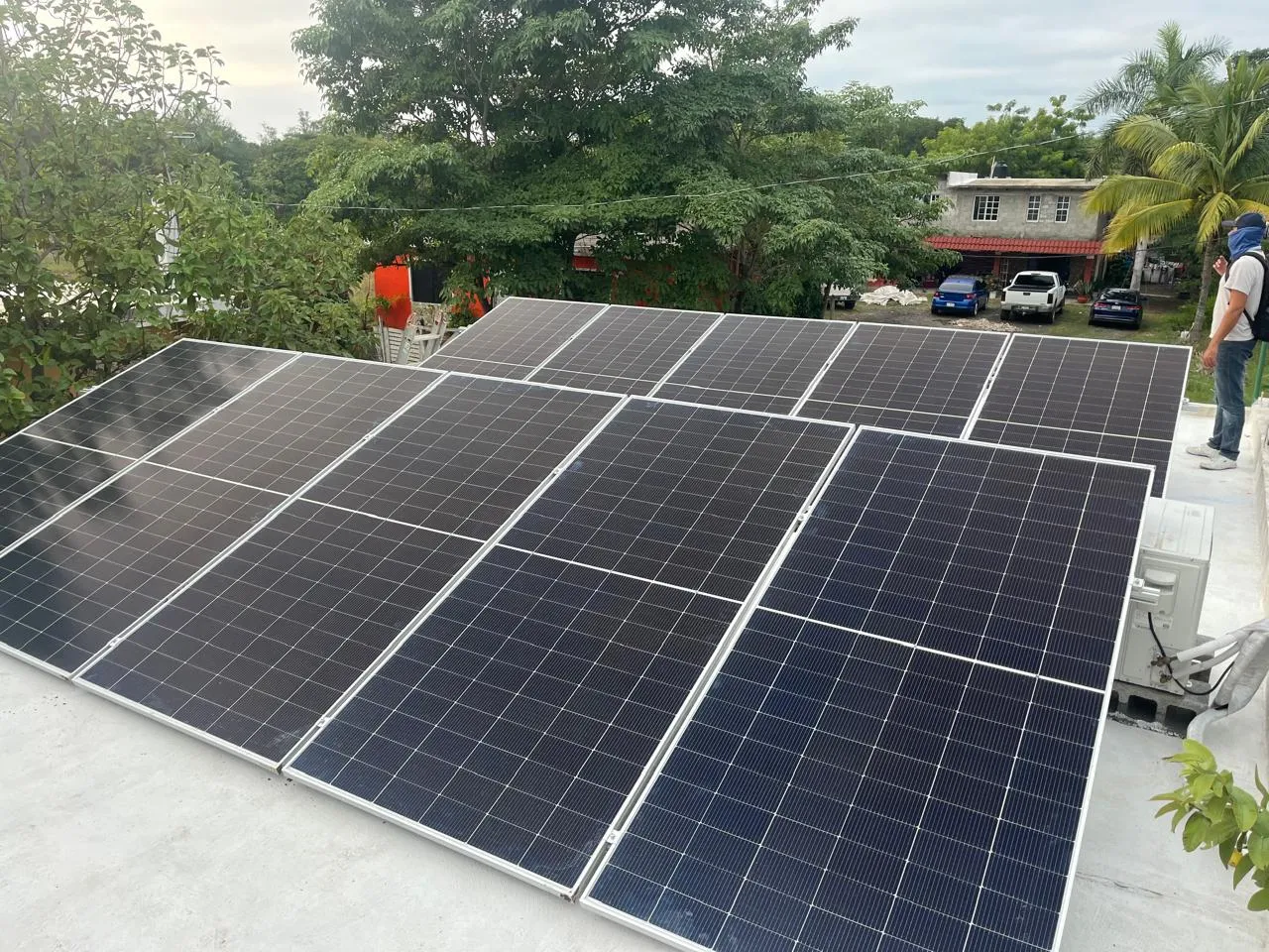 Instalación de paneles solares en un techo de concreto junto a palmeras, con vegetación tropical de fondo